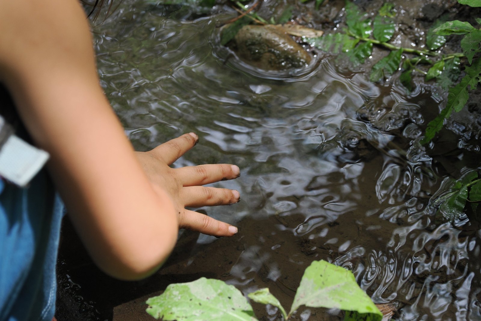 川の水のつめたさを感じる